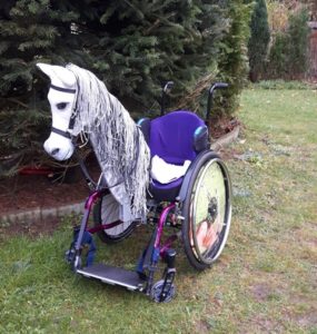 Pferdekopf für Rollstuhl Therapie, Freude und Aufmerksamkeit