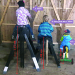 Holzpferde im Größenvergleich, 56, 90 und 115 cm mit Kindern verschiedenen Alters